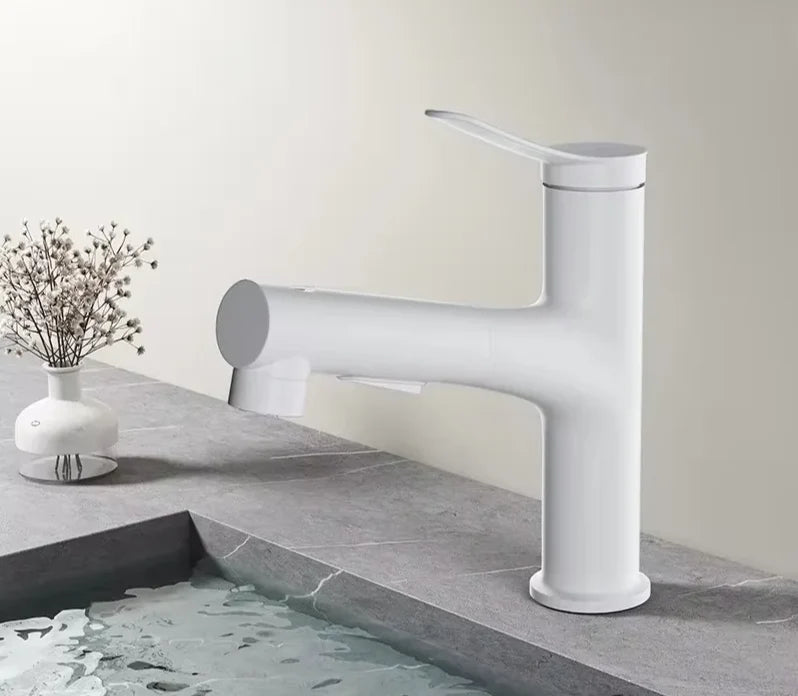 Bathroom Faucet Pull-Out Spout & Oral Rinse Brass Construction