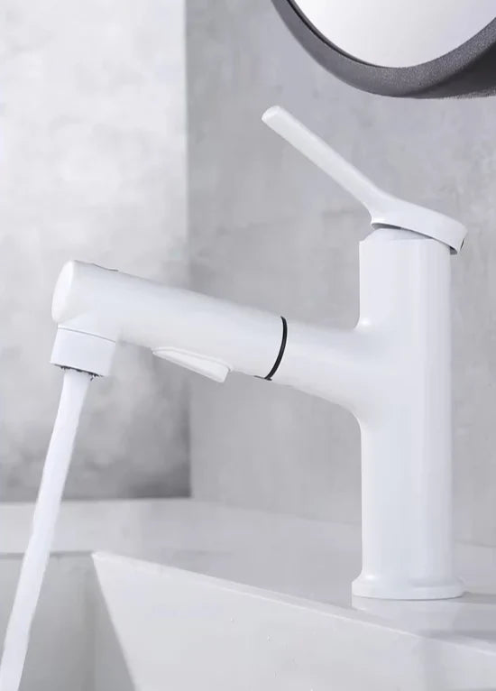 Bathroom Faucet Pull-Out Spout & Oral Rinse Brass Construction