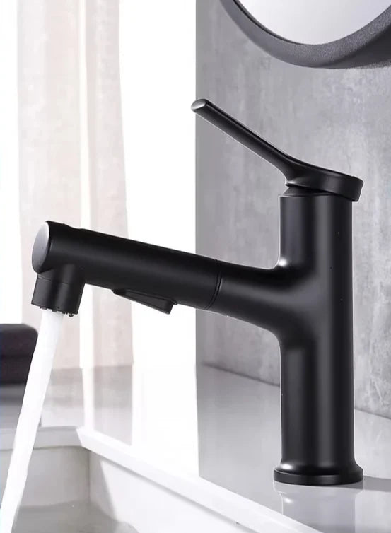 Bathroom Faucet Pull-Out Spout & Oral Rinse Brass Construction