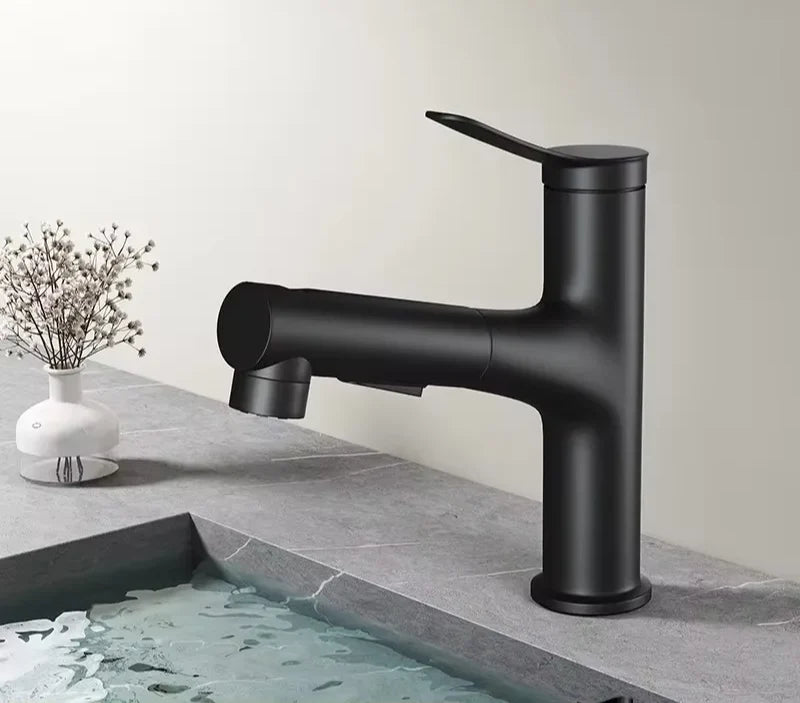Bathroom Faucet Pull-Out Spout & Oral Rinse Brass Construction
