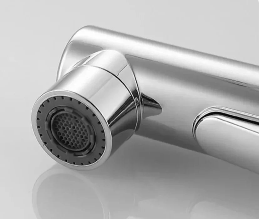 Bathroom Faucet Pull-Out Spout & Oral Rinse Brass Construction