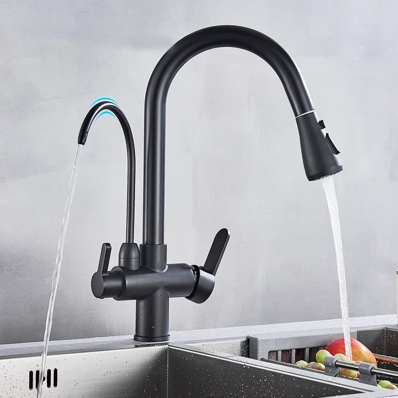 Kitchen Faucet Filtered Outlet Pull-Out Sprayer 360° Rotation