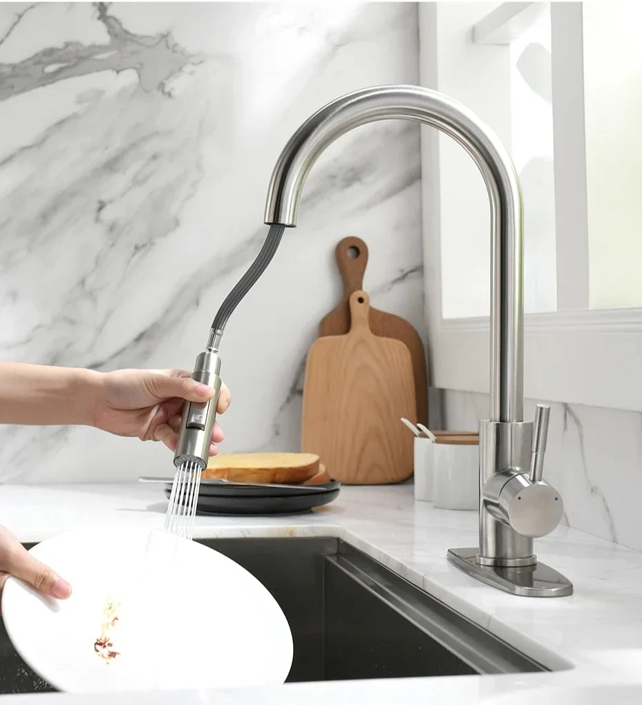 Kitchen Faucet Pull-Out Spout Single-Handle Silver Finish