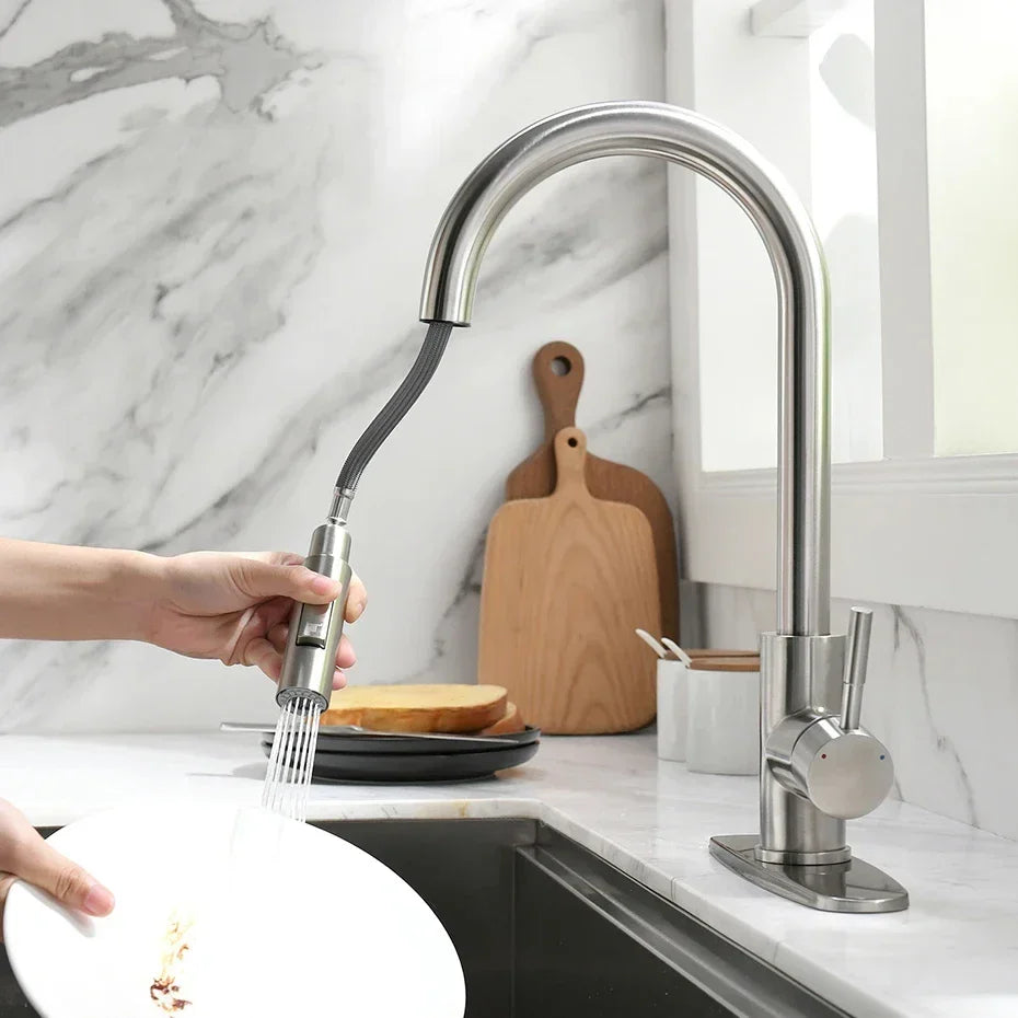 Kitchen Faucet Pull-Out Spout Single-Handle Silver Finish