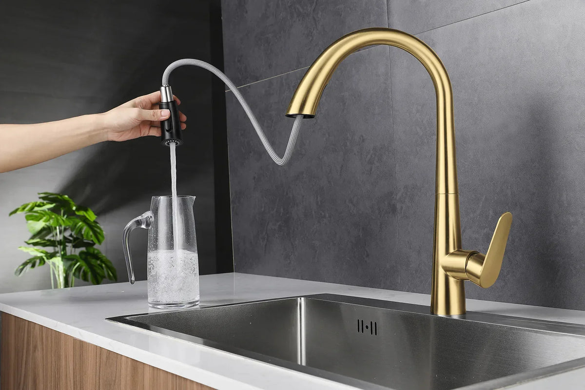 Kitchen Faucet Pull-Out Sprayer & Single-Handle 304 Stainless Steel
