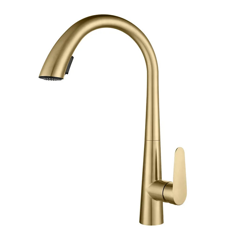 Kitchen Faucet Pull-Out Sprayer & Single-Handle 304 Stainless Steel