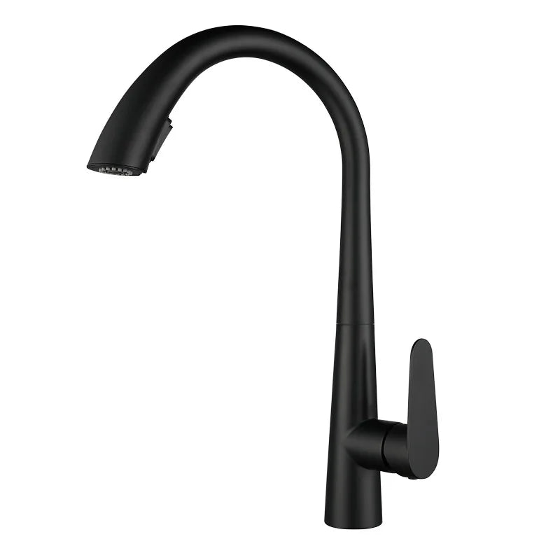 Kitchen Faucet Pull-Out Sprayer & Single-Handle 304 Stainless Steel