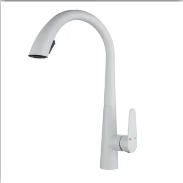 Kitchen Faucet Pull-Out Sprayer & Single-Handle 304 Stainless Steel