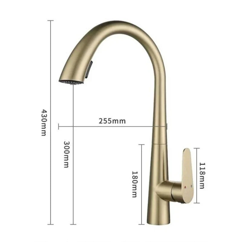Kitchen Faucet Pull-Out Sprayer & Single-Handle 304 Stainless Steel