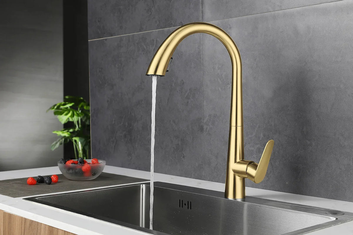 Kitchen Faucet Pull-Out Sprayer & Single-Handle 304 Stainless Steel