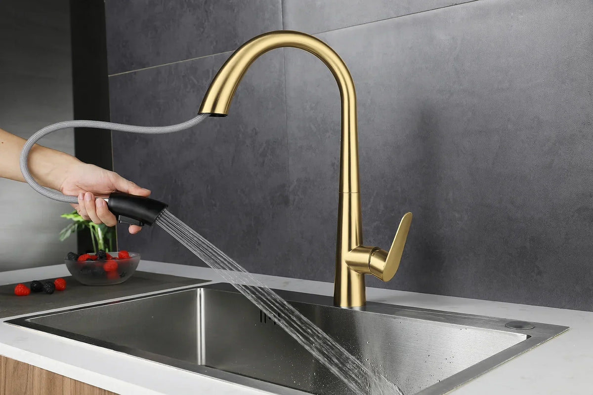 Kitchen Faucet Pull-Out Sprayer & Single-Handle 304 Stainless Steel