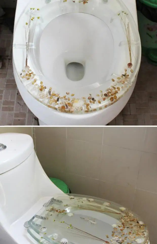 Toilet Seat Soft-Close Resin Stainless Steel Hinges